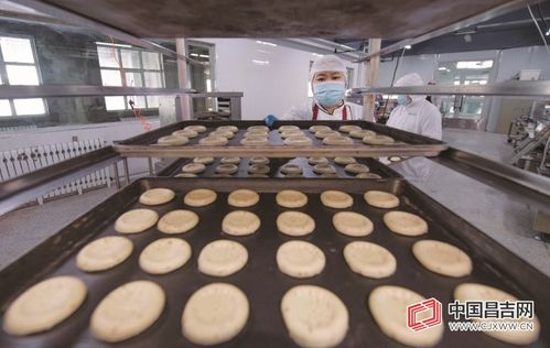 昌吉高新区葡萄树食品 亚麻籽馕的传统工艺与现代生产
